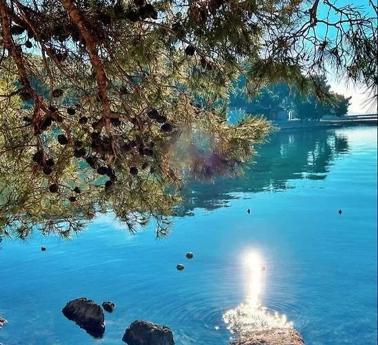 Kulas Biograd Na Moru